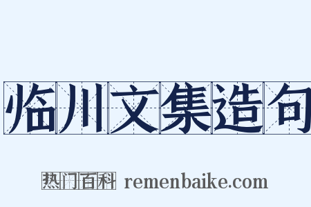 临川文集造句是什么意思的图片